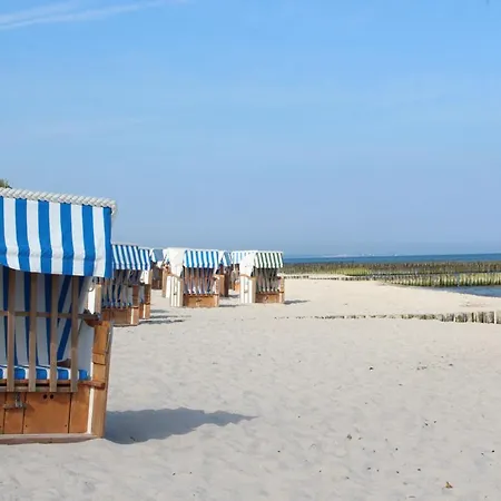 Krabbe Im Ostseeidyll Am Waldrand