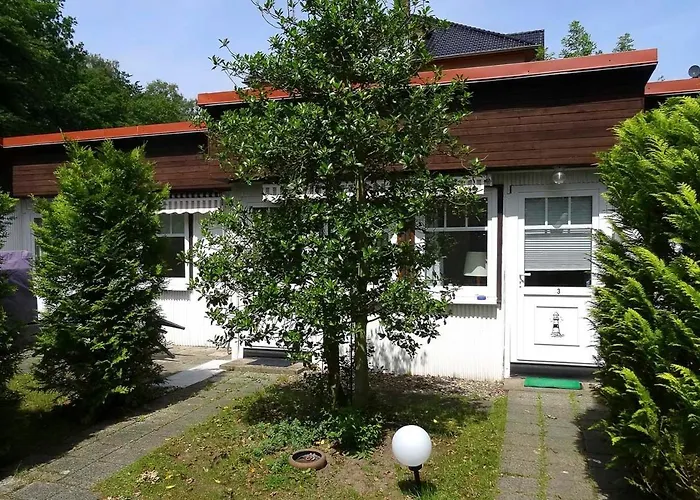 Krabbe Im Ostseeidyll Am Waldrand