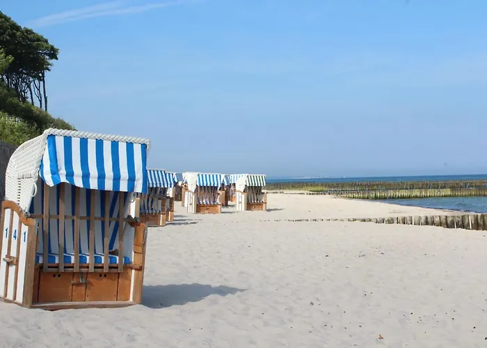 Krabbe Im Ostseeidyll Am Waldrand